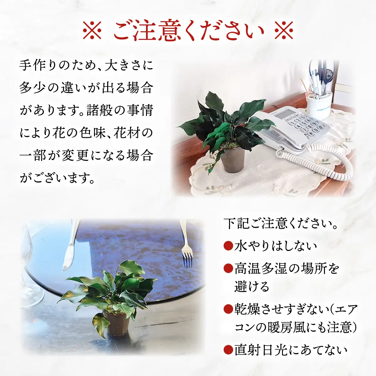 プリザーブドインテリアグリーン アイビー