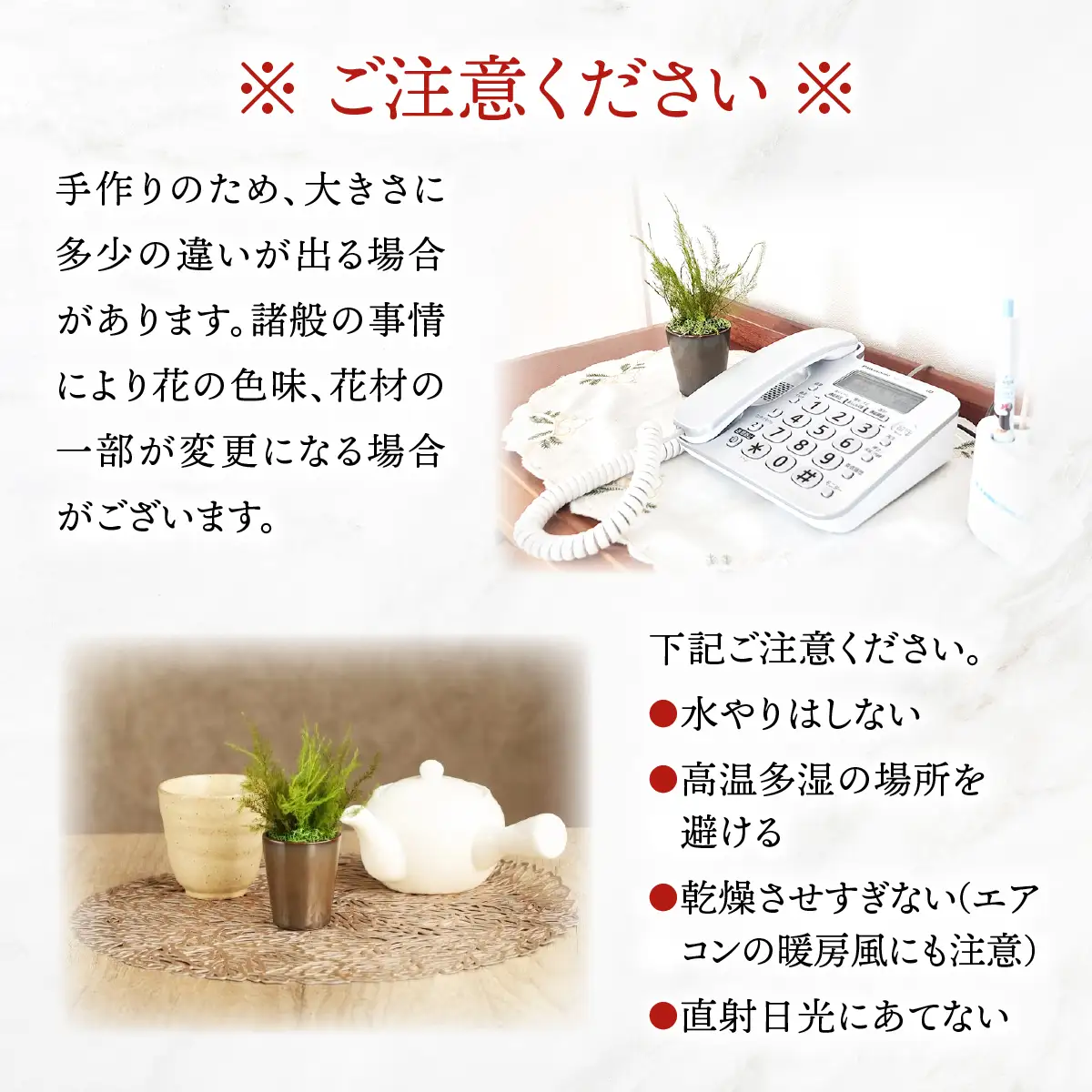プリザーブドインテリアグリーン アスパラミント