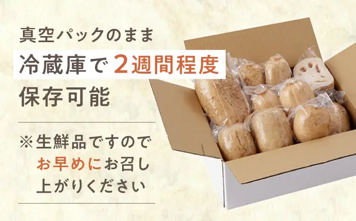 【年明け発送】【真空パック】洗いれんこん 約2kg（8-15袋入り）ICE001-2