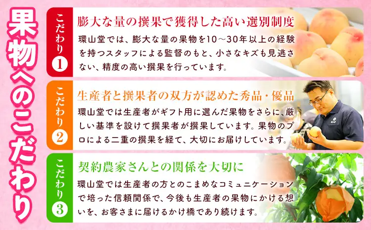 【2027年先行予約】冬ぶどう「紫苑」 2房 約1.2kg 環山堂株式会社 ぶどう