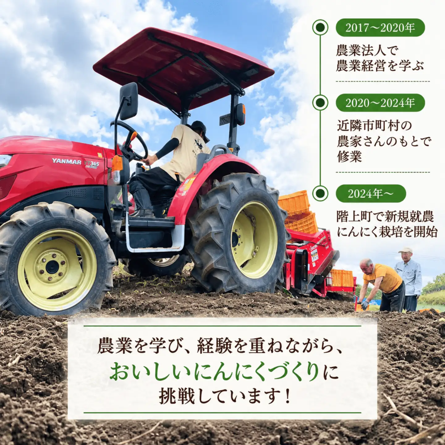 訳あり！料理に使いやすいバラにんにく！「青森県階上町産」乾燥バラにんにく　2kg