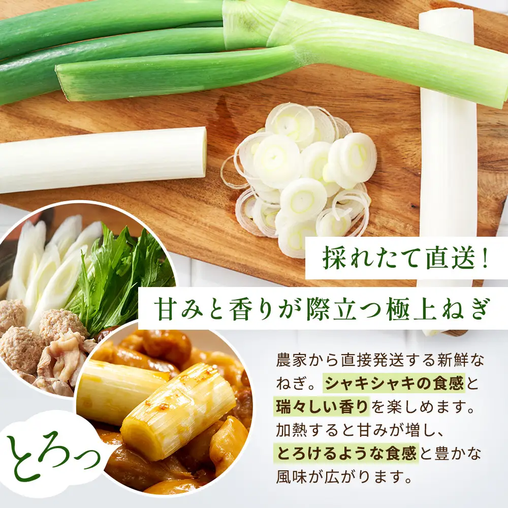 【先行予約】とれたて直送 角田市産！とろける甘みの「こだわり長ネギ」 約5kg （約20本～30本）【11月上旬以降発送】| 新鮮 産地直送