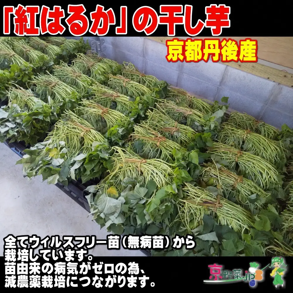 紅はるかの干し芋（京都産） 150g×3パック入