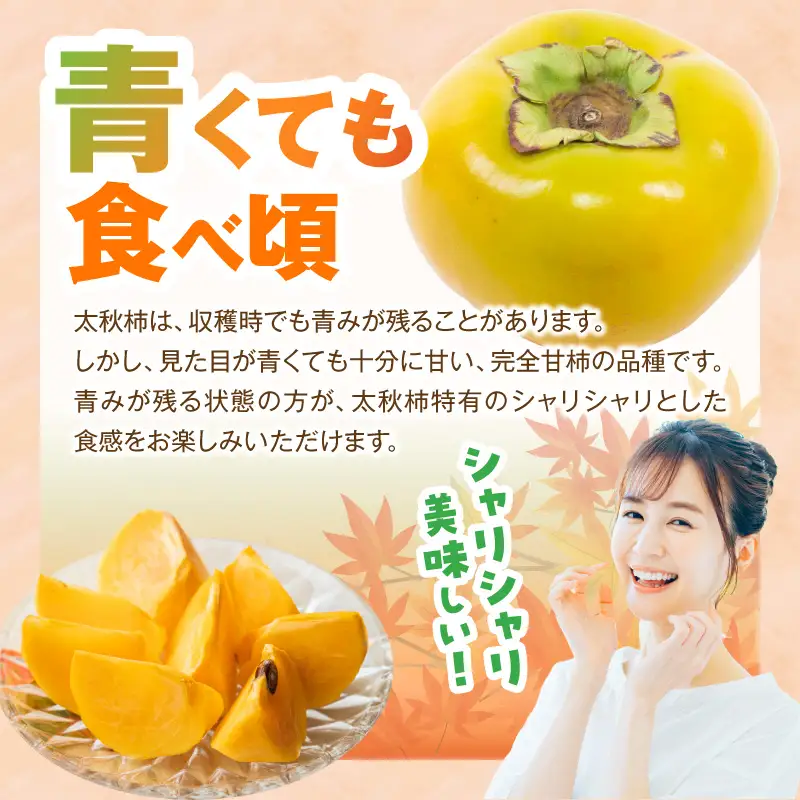 【先行受付】 訳あり 太秋柿 6kg こねり柿園こだわりの『よのちゃん太秋柿』 _KNR0408