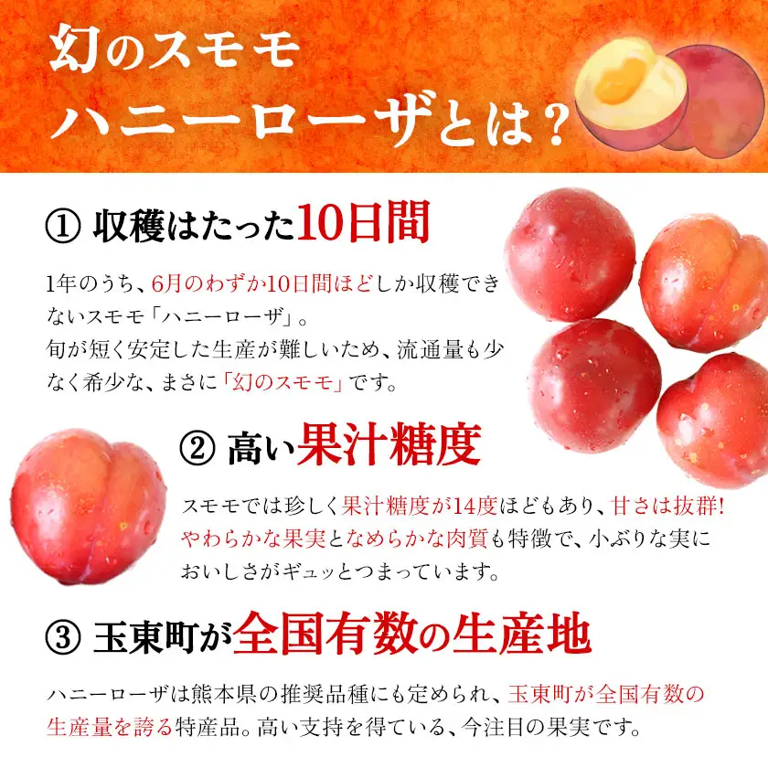 ハニーローザシャーベット 12個 ぷらっとぎょくとう《60日以内に出荷予定(土日祝除く)》 熊本県 玉名郡 玉東町 スモモ すもも 果物 デザート スイーツ フルーツ 旬 シャーベット アイス セット 冷菓 冷凍 果肉入り ご当地シャーベット おやつ