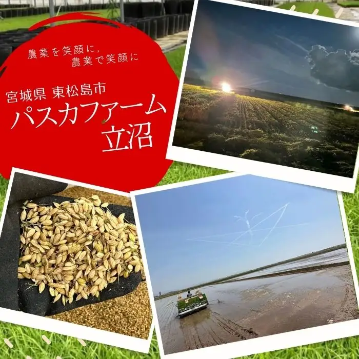 【令和8年産】【新米】【令和8年10月中旬～下旬順次発送】 ひとめぼれ 玄米 30kg E｜ひとめぼれ