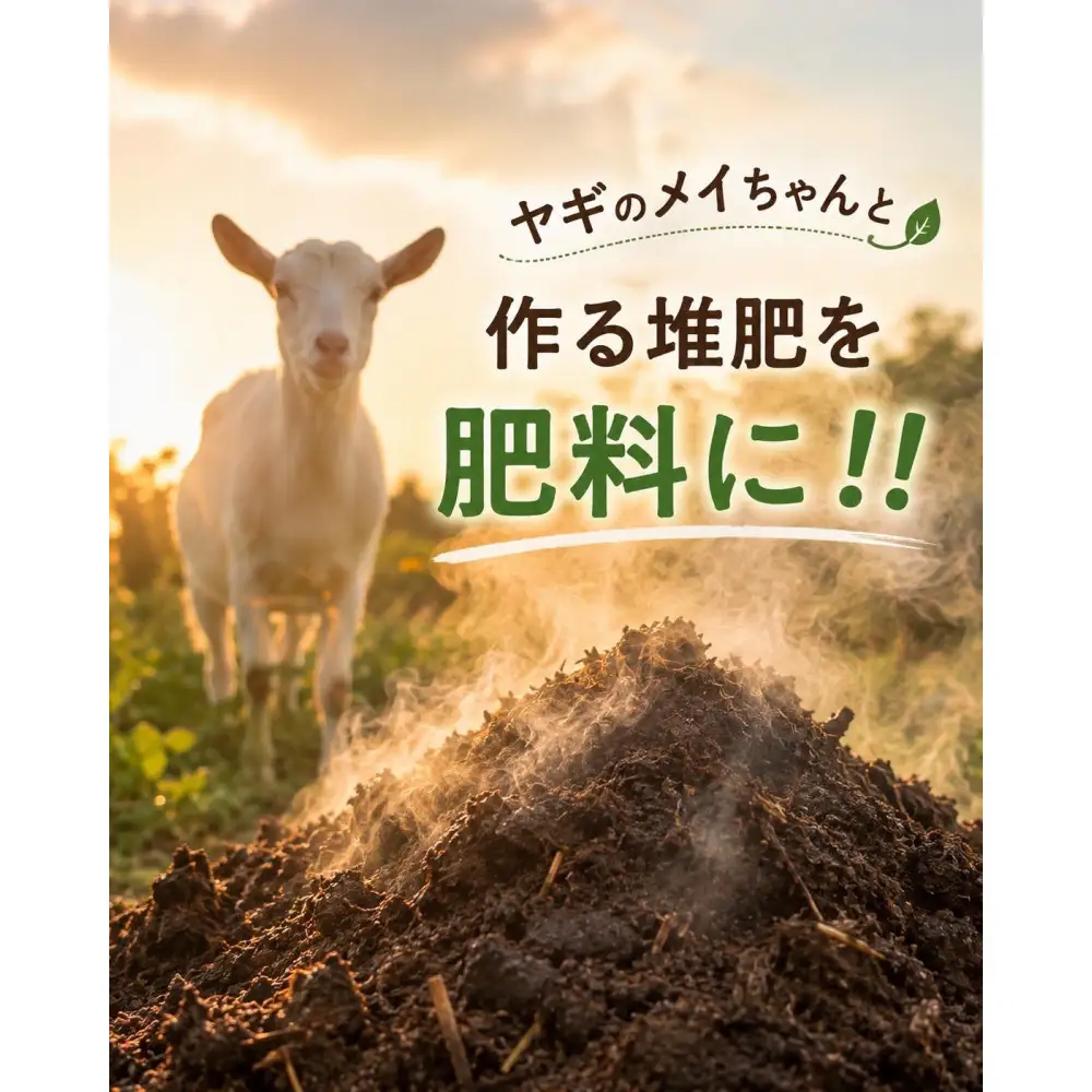 静岡産 高糖度シャインマスカット 3房（約1.5kg）【配送不可地域：北海道・沖縄県・一部離島】