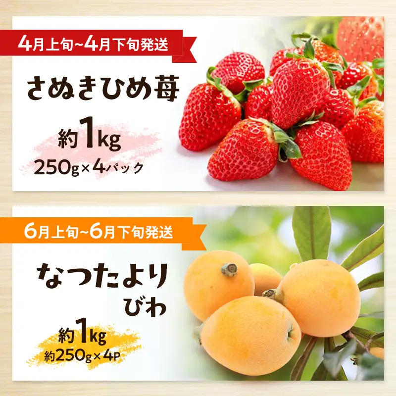 フルーツ 定期便 メロン ブルーベリー 桃 フルーツ【全13回 香川県産】 【46312861】