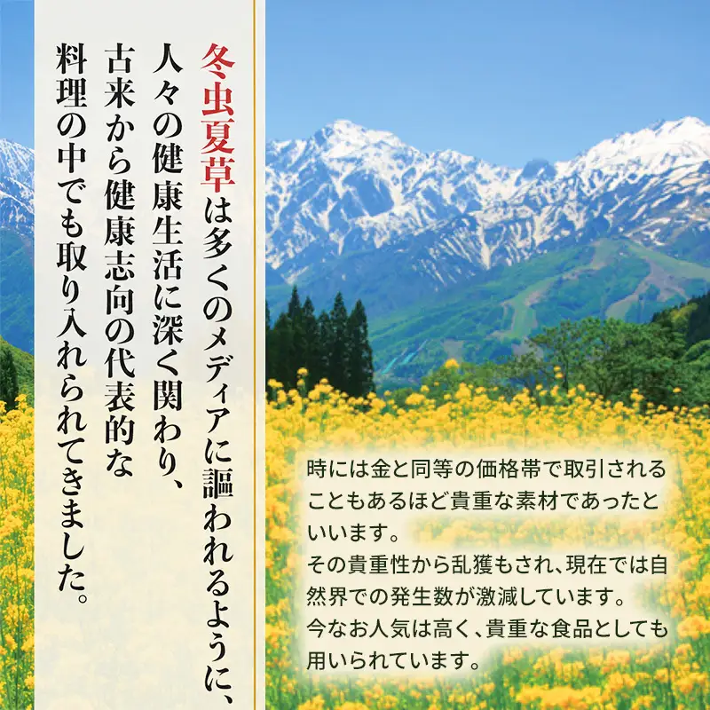冬蚕夏桑 405粒 カプセル 国産 サプリ サプリメント 体調維持