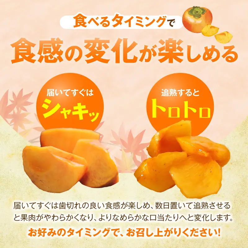 【先行受付】 富有柿 3kg こねり柿園自慢の富有柿 _KNR0508