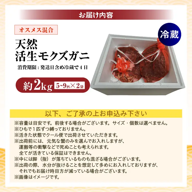 天然 活生モクズガニ 約2kg 冷蔵 74-33