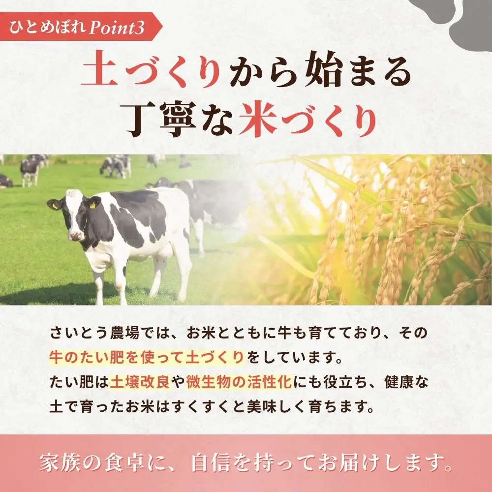 【先行予約】令和8年産 宮城県涌谷町産 ひとめぼれ 30kg＜玄米＞※2026年11月上旬以降に順次発送予定【saito002】