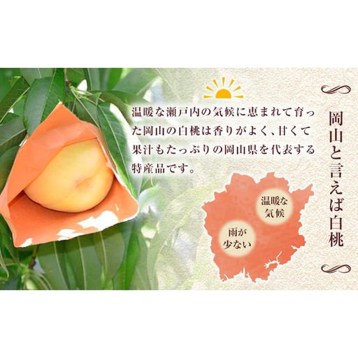 2027年 先行予約】 桃 岡山県産 加納岩 白桃 約1.2kg（4～5玉） 《2027