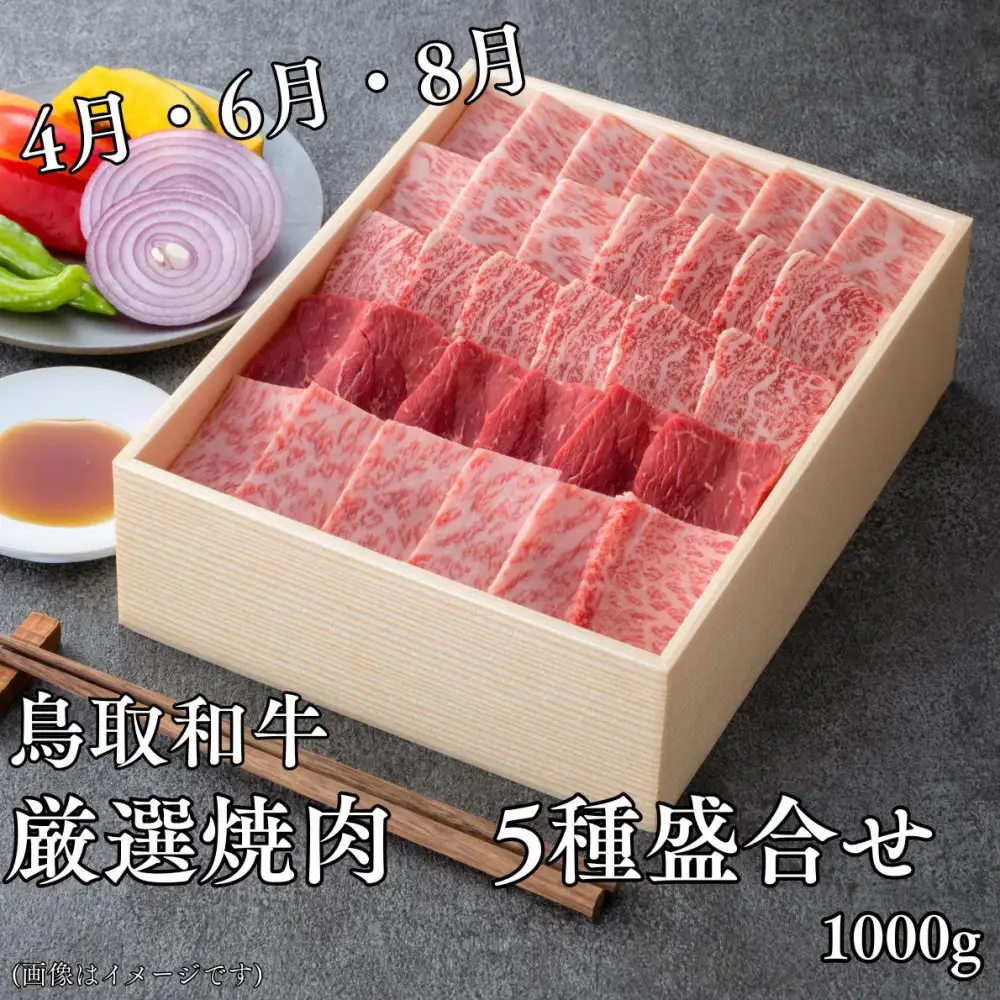 【6回定期便】鳥取和牛厳選部位　
