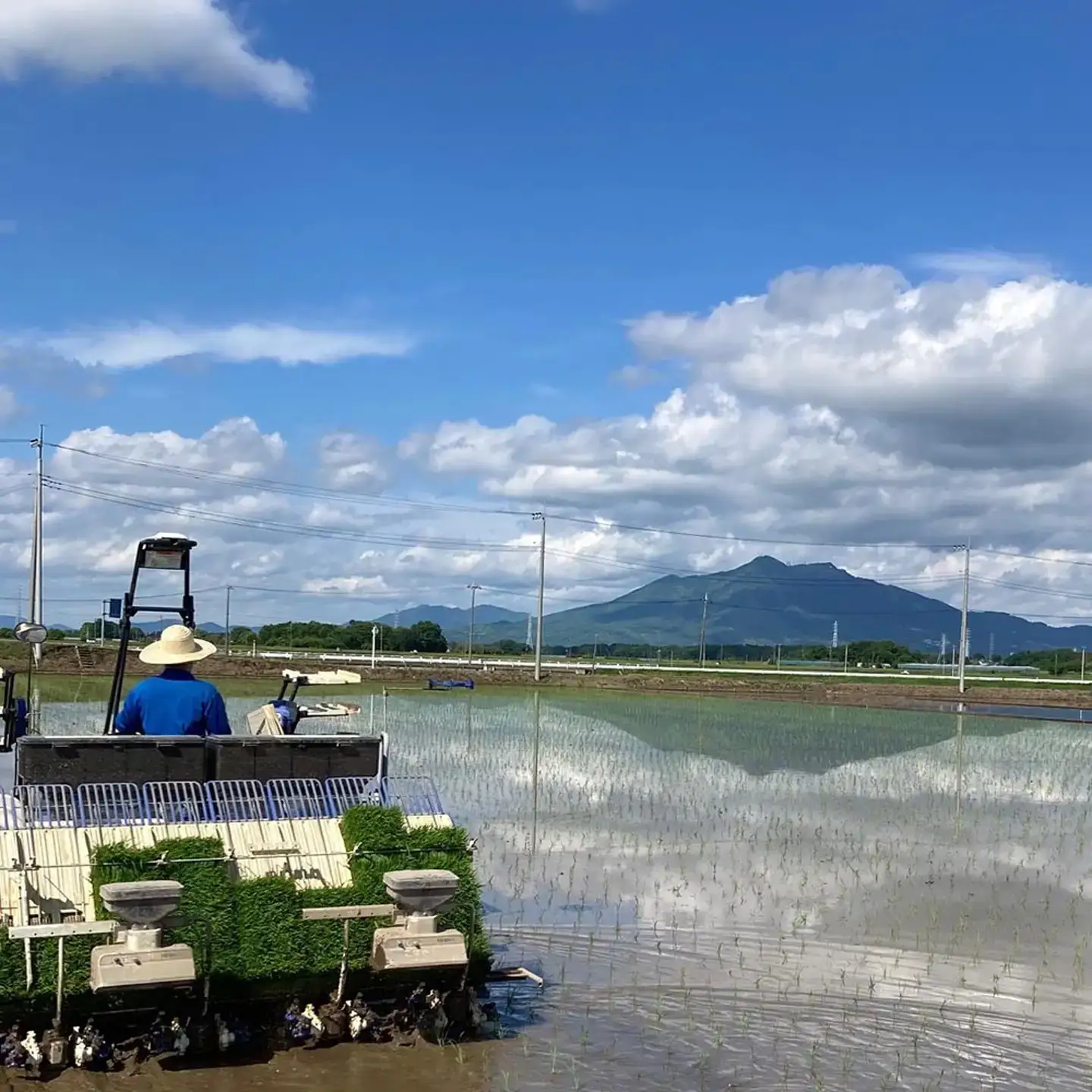 米 精米 R7年産 ふくまる 5kg 10月