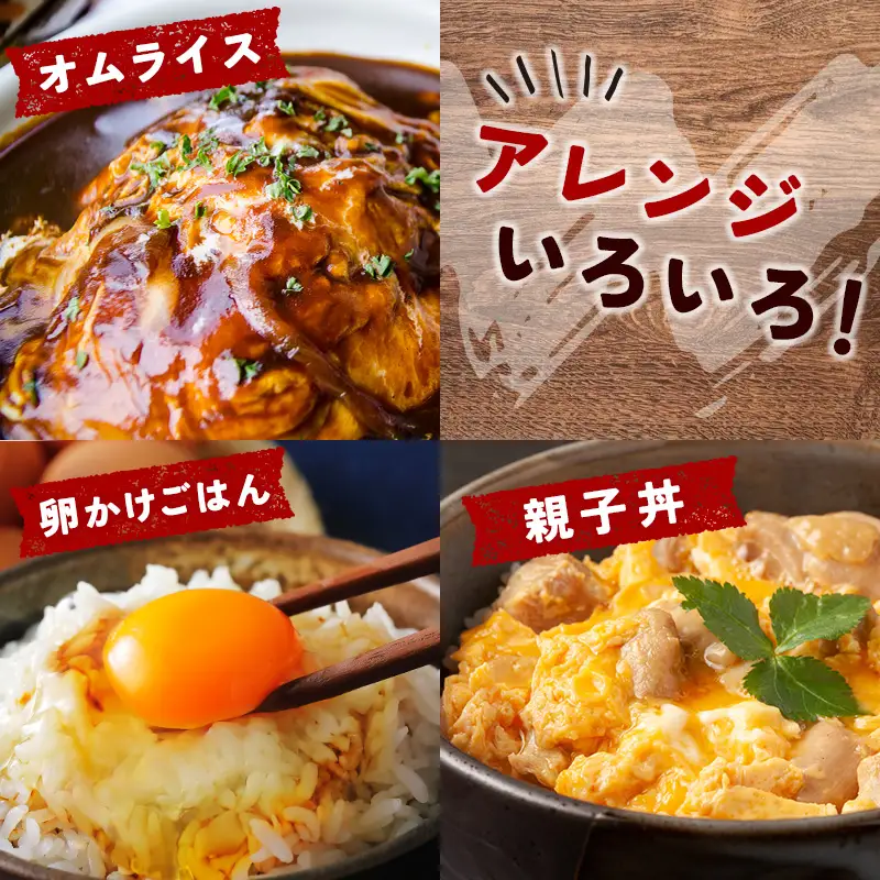 12月開始 児湯養鶏自慢の卵ネッカリッチ赤たまご「児湯一番」 計240個 （20個入×2箱）×6か月定期便【D15-2612】