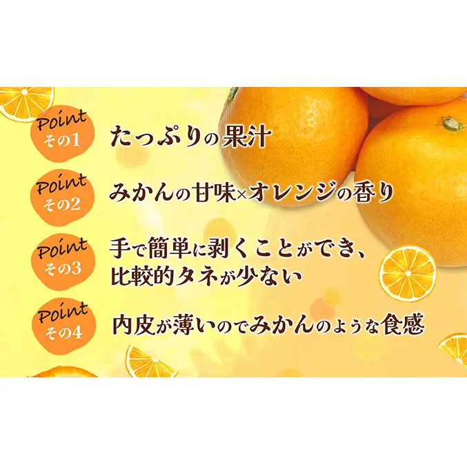 【数量限定 先行予約】愛媛県産 はれひめ 約5kg[50R0813] 【高島屋選定品】M～2L サイズ＜ギフト 甘味 濃厚 みかん フルーツ＞[No.53030336]