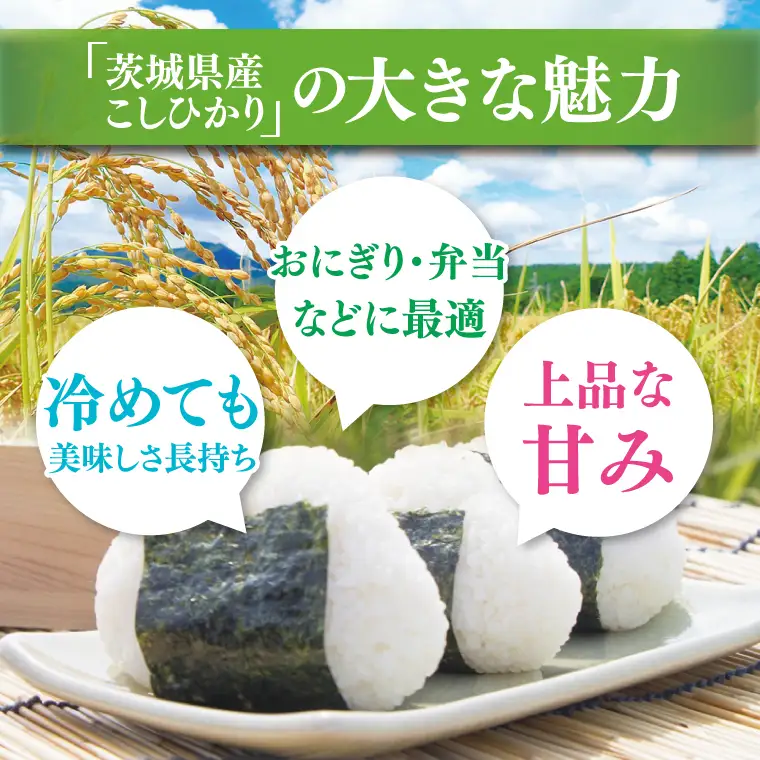 【10月より順次発送】【数量限定】 令和8年産 【3ヶ月定期便】美味追求 茨城県産こしひかり 10kg（5kg×2）×3回 (NA-17)