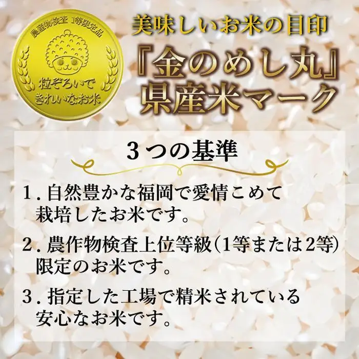 ＜全6回 定期便＞新米 令和8年産 元気つくし 5kg 米 福岡県