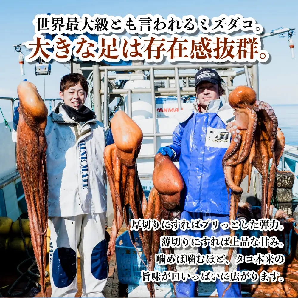 【訳あり】極肉厚　煮だこ足大容量セット（約10kg）　刺身用　ミズダコ　大容量　国産　北海道産　冷凍　家庭用　規格外