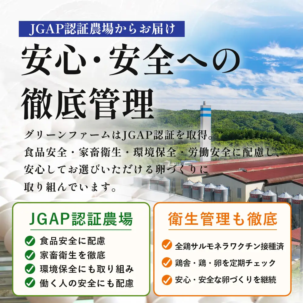 新鮮 たまご 80個 | 自然豊かな庄原で生まれた 新鮮たまご 訳アリ MSサイズ～2Lサイズ サイズ混合 サイズ指定不可