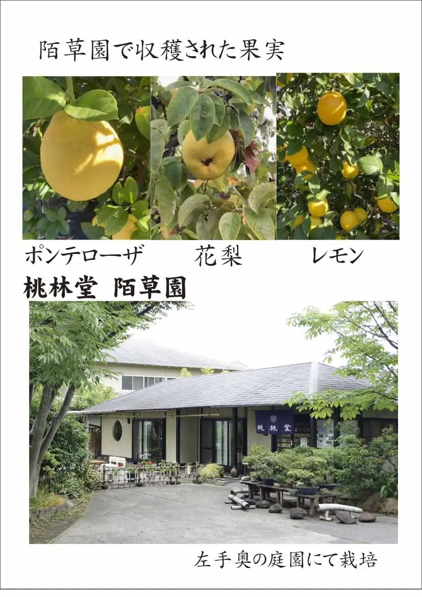 A390　風土菓　手作りもなかと五智果