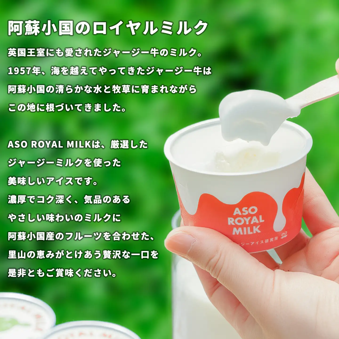 【阿蘇小国ジャージーアイス研究所】阿蘇小国ジャージーアイス 王様ミルク 100ml 8個 国産 熊本県産 小国ジャージー牛乳 ジャージーミルク ゴールデンミルク アイスクリーム 牧場しぼり お取り寄せ ご褒美 贈答 ギフト 記念日 ご自宅用 チルド 冷凍配送