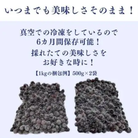 【毎月定期便】冷凍ブルーベリー1kg(500g×2パック)全12回【配送不可地域：離島】【4092940】