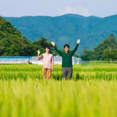令和8年産 ササニシキ 白米 精米 3kg  栽培期間中農薬不使用 勘六縁 岩手県 遠野市【1433938】