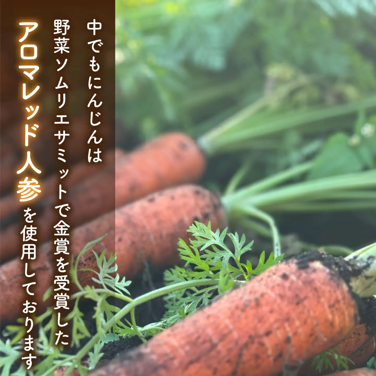 ドレッシング 人参 3本 にんじんドレッシング
