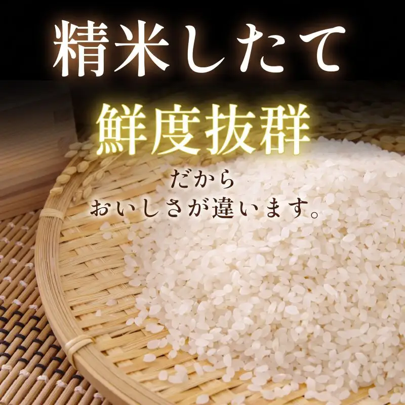 【令和8年産】新米 コシヒカリ 3kg 米 白米 精米 こめ お米 産地直送 小松島市
