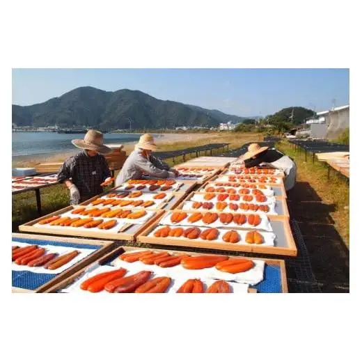 本からすみ 30g 釜揚げしらす 100g セット