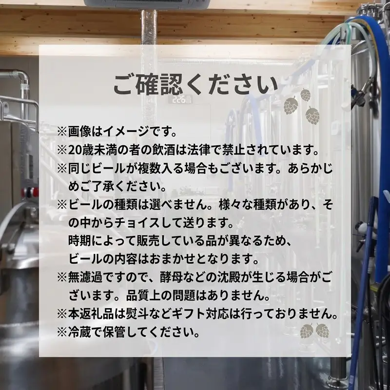 クラフトビールおまかせ3本セット［1922-1］