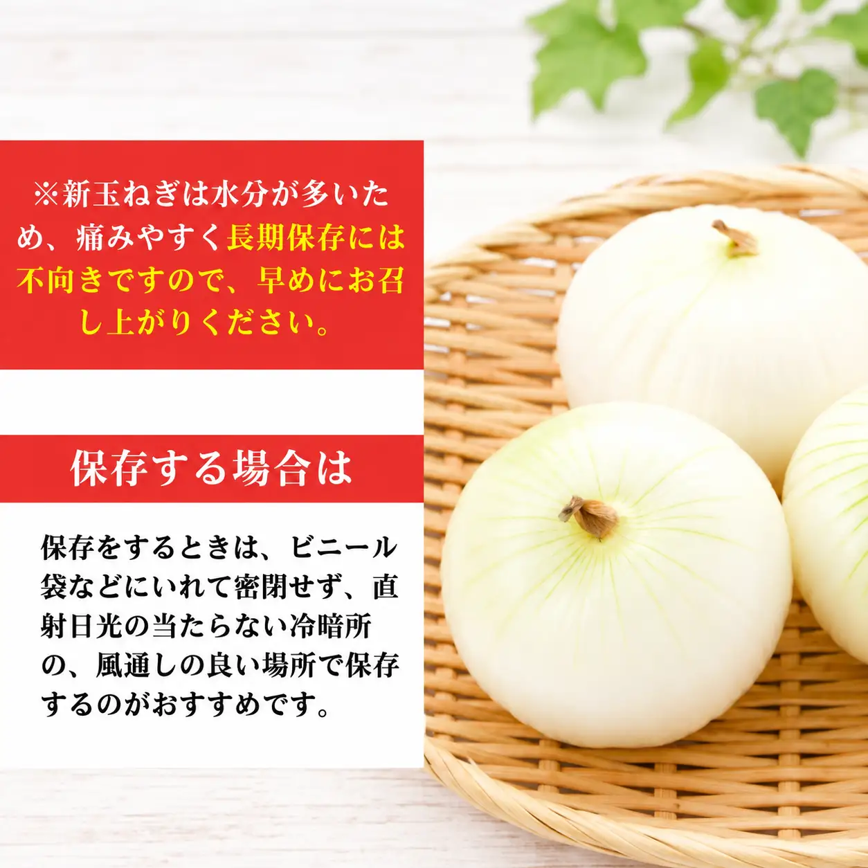 【先行予約:2026年 11月下旬より順次発送】 訳あり 新たまねぎ 2kg シルクオニオン 野菜 サラダ 玉ねぎ たまねぎ 新玉 スープ カレー サイズミックス 大小 傷 国産 オニオン 常温 送料無料 愛媛県 愛南町青果市場 2026年 11月下旬