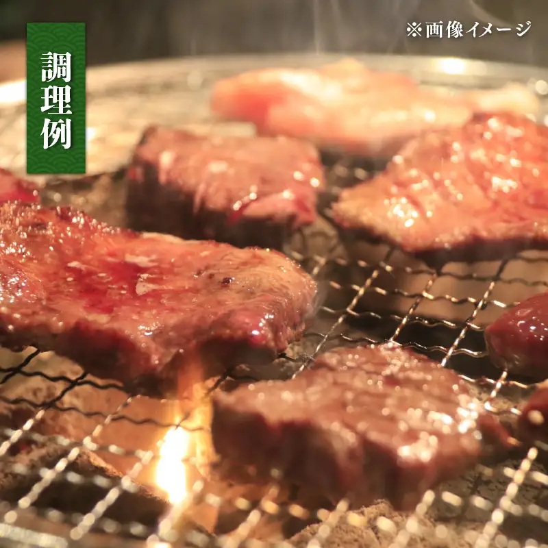 【6ヶ月定期便】 E505 焼肉切落し400g