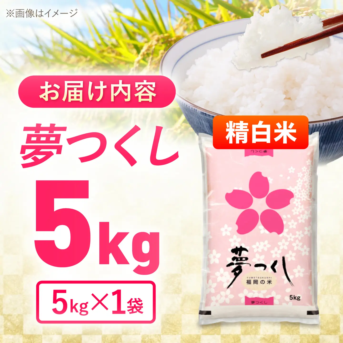夢つくし精米5kg《築上町》【酒見食品工業株式会社】 米 こめ 白米[ABER001]