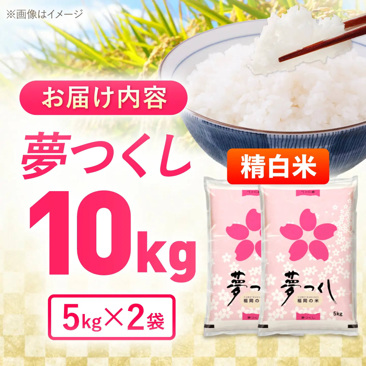夢つくし精米10kg《築上町》【酒見食品工業株式会社】 米 こめ 白米[ABER002]