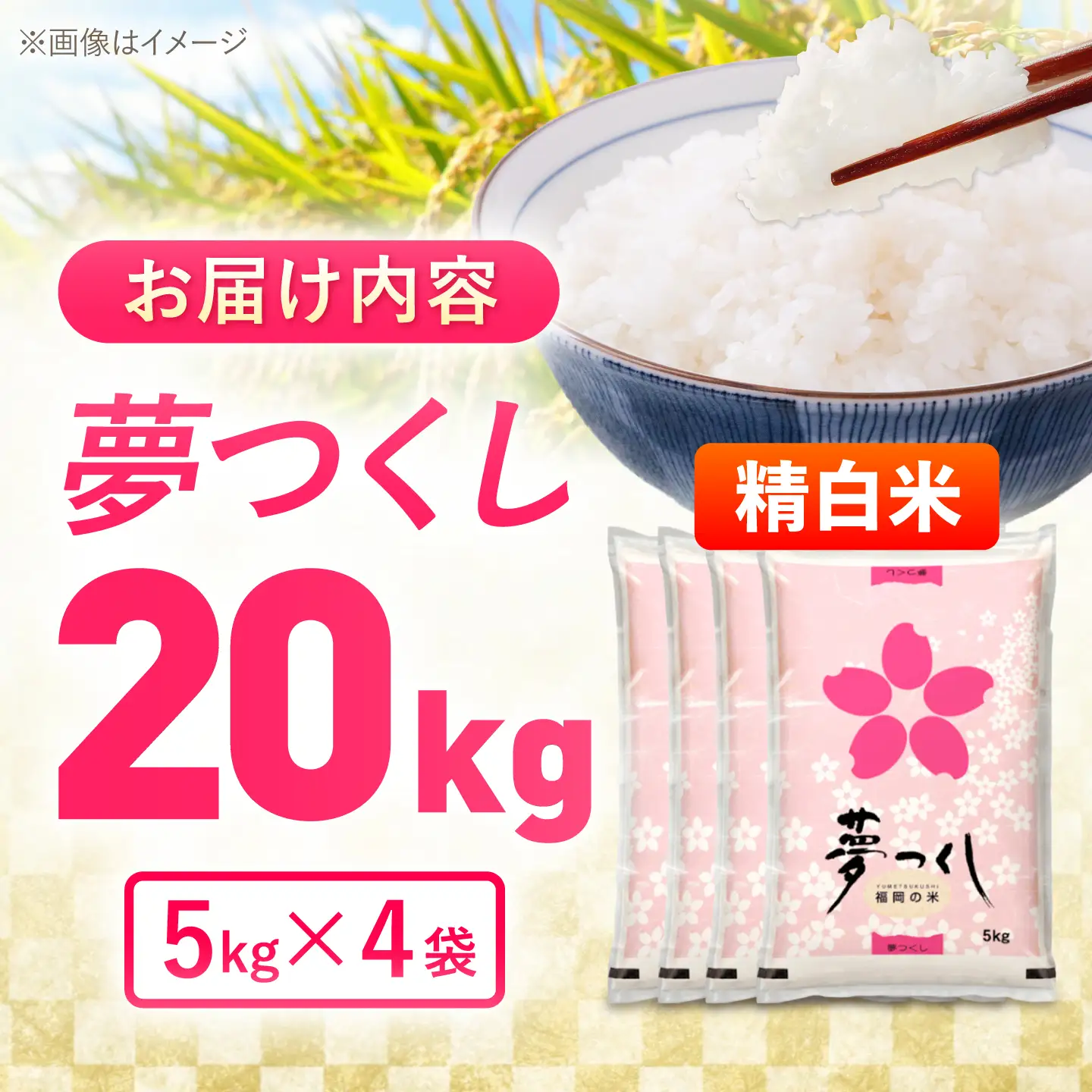 夢つくし　１７kg　白米 夢つくし精米20kg《築上町》【酒見食品工業株式会社】 米 こめ 白米