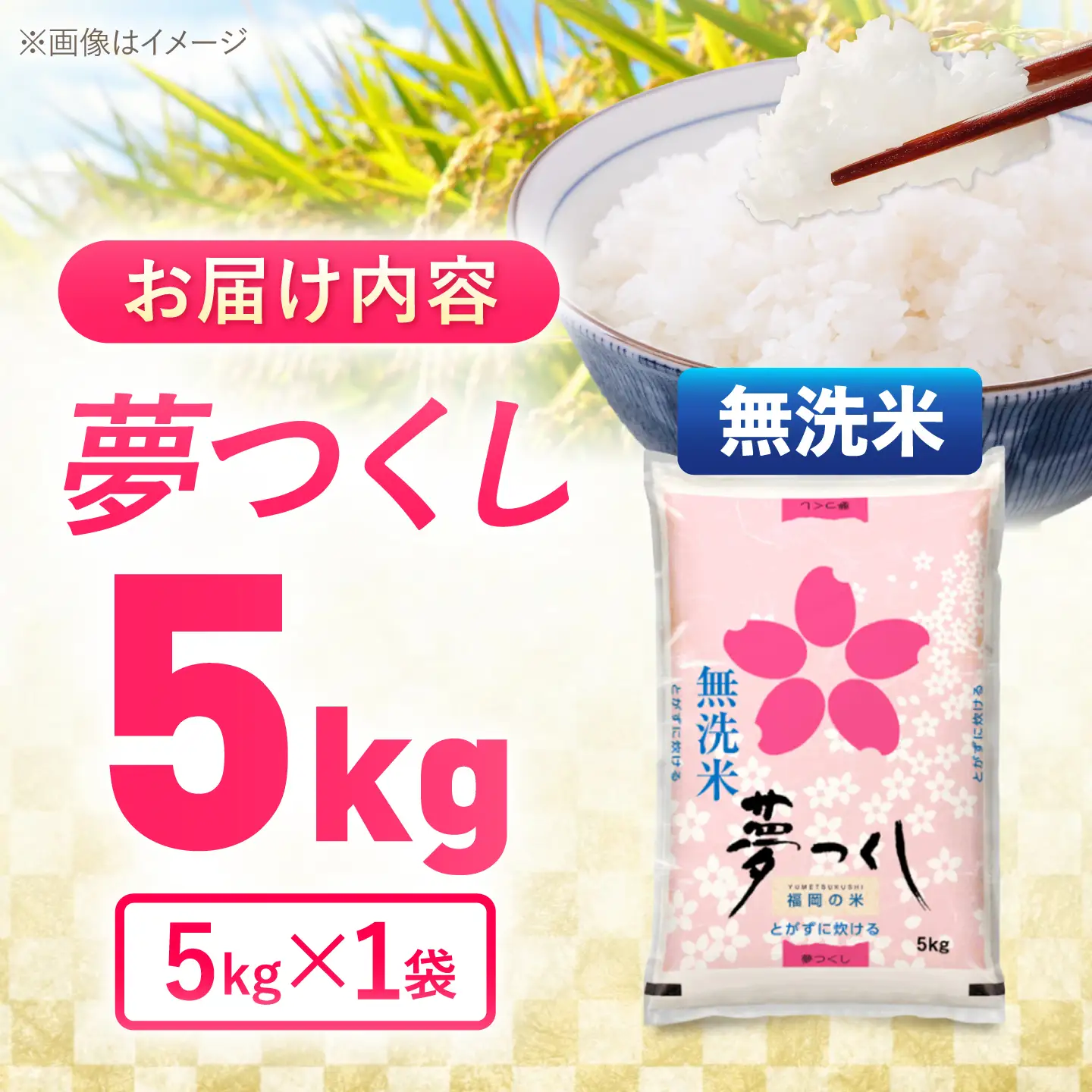 夢つくし無洗米5kg《築上町》【酒見食品工業株式会社】 米 こめ 無洗米[ABER005]