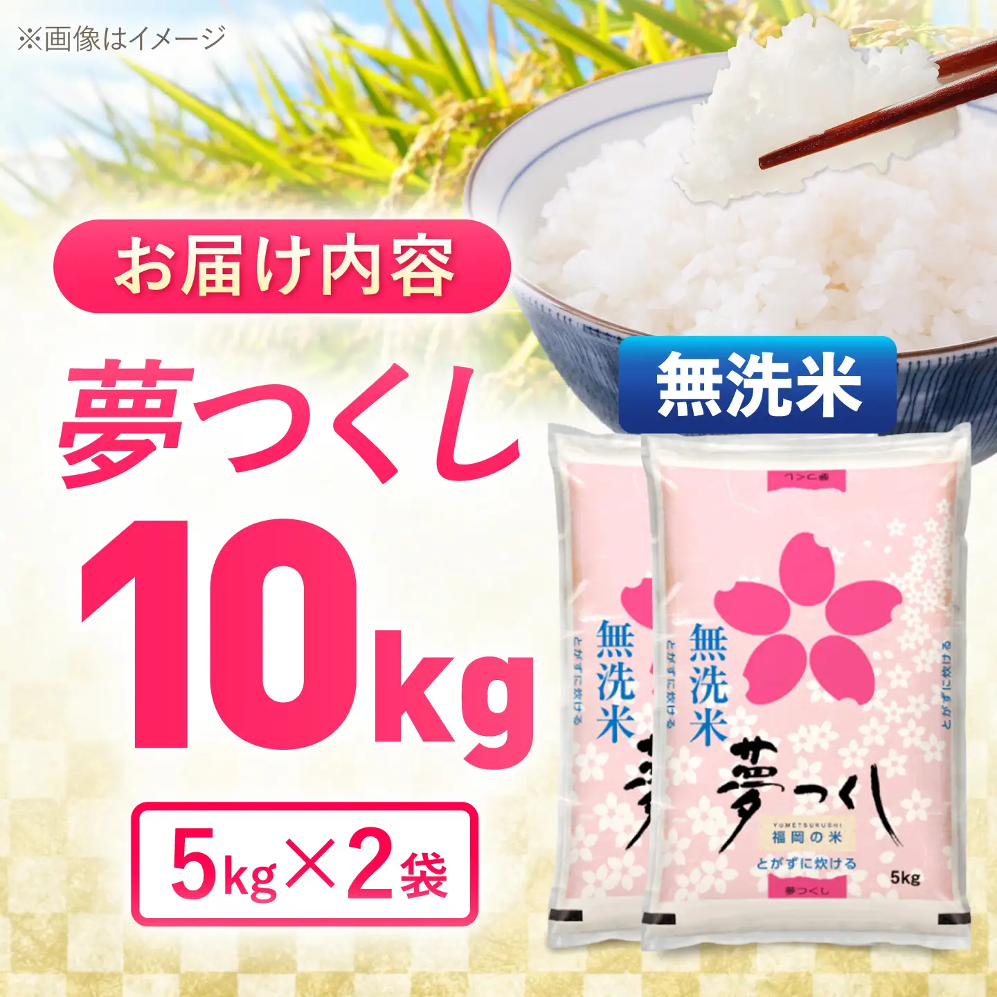夢つくし無洗米10kg《築上町》【酒見食品工業株式会社】 米 こめ 無洗米[ABER006]