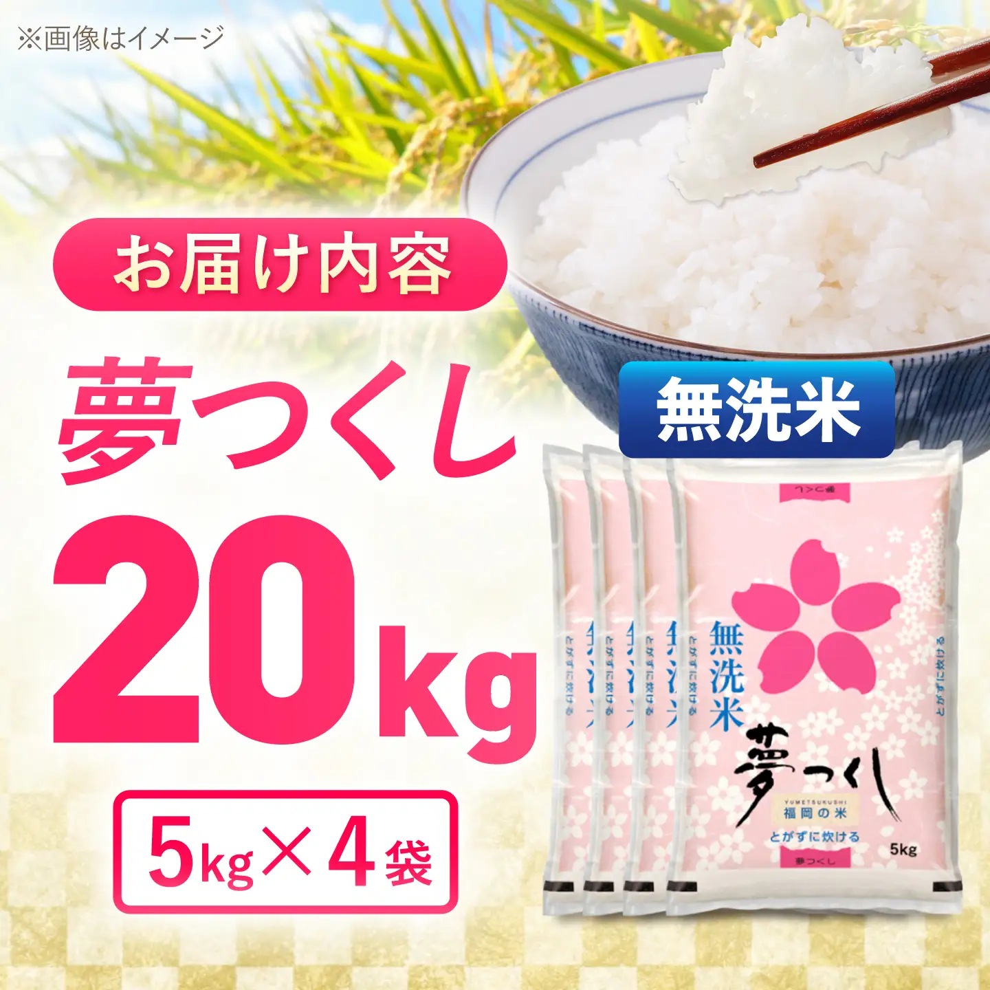 夢つくし無洗米20kg《築上町》【酒見食品工業株式会社】 米 こめ 無洗米[ABER008]