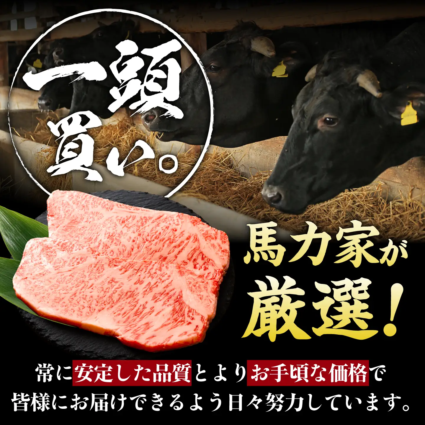 【12回定期便】飛騨牛 サーロイン(ステーキ用)400g(200g×2枚)飛騨牛 国産 肩ロース ロース ステーキ 黒毛和牛 和牛 牛肉 BBQ steak 岐阜県 / 御嵩町 / 馬力家[AVBO098]