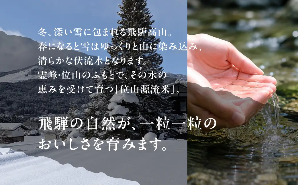 【令和8年度産】位山源流米 コシヒカリ10kg | 新米 米 ごはん 農家 コシヒカリ おいしい 飛騨高山 ファームやまじん TD002