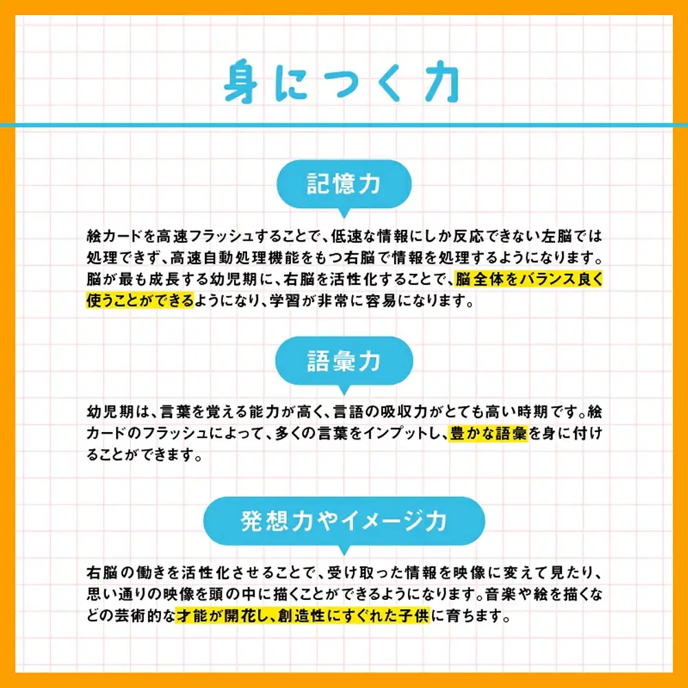 七田式 フラッシュカード かな絵ちゃんシリーズ 10タイトル おまとめセット （どうぶつ / いきもの・しぜん / やさい・くだもの / たべもの / おもちゃ・がっき / からだ・くらし / スポーツ・しごと・のりもの / どうぐ・ぶんぐ / ばしょ・ひと / おうちのどうぐ） SC-81 | しちだ 幼児教育 言葉 右脳 記憶力 子育て 教育 教材 子ども 語彙力 発想力