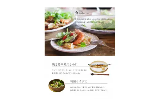 【予約】新物じゃばら果汁360ml×5本【njb211-y5-sy】