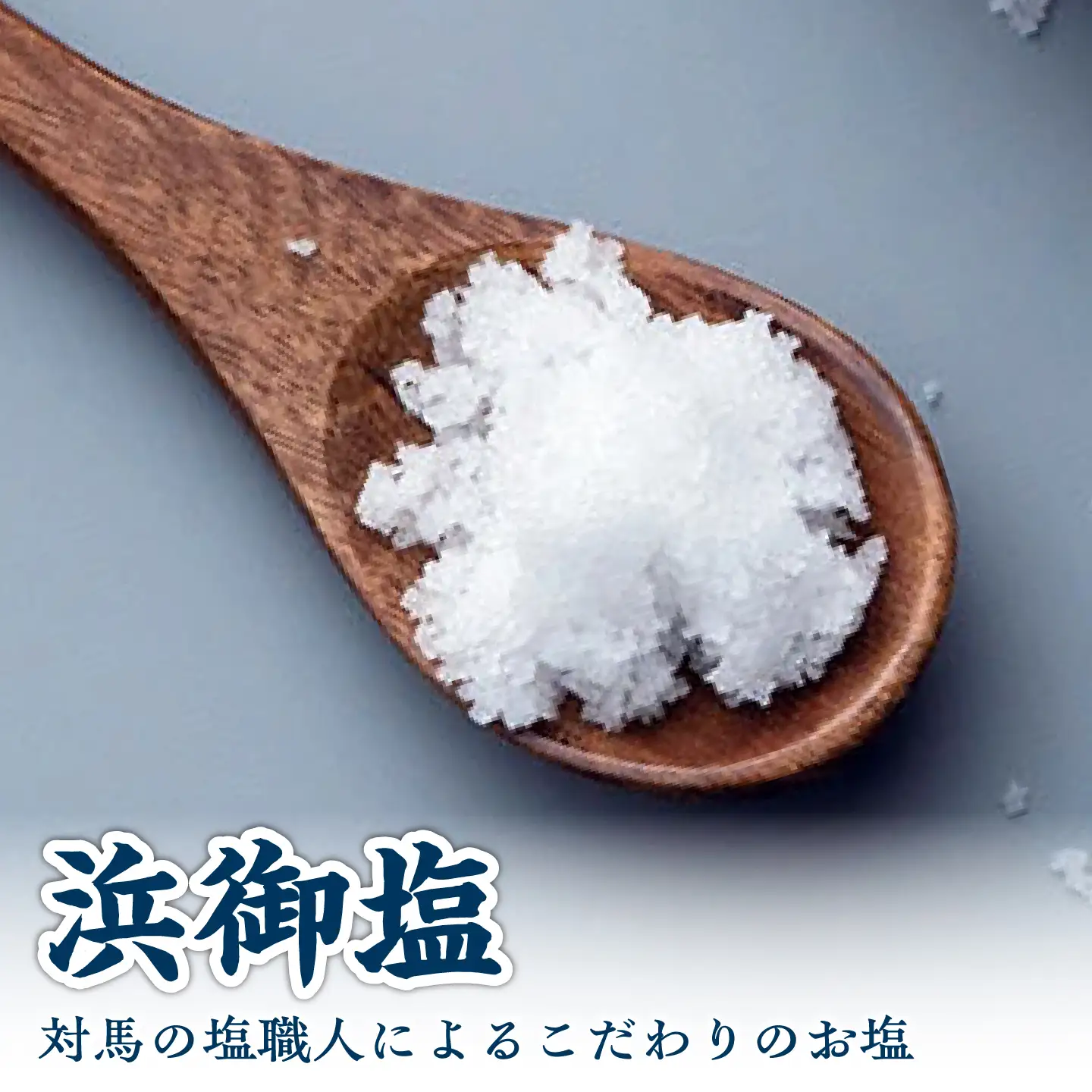 浜御塩400g×1袋 《対馬市》【株式会社白松】 塩 天然塩 対馬 調味料[WAY004]