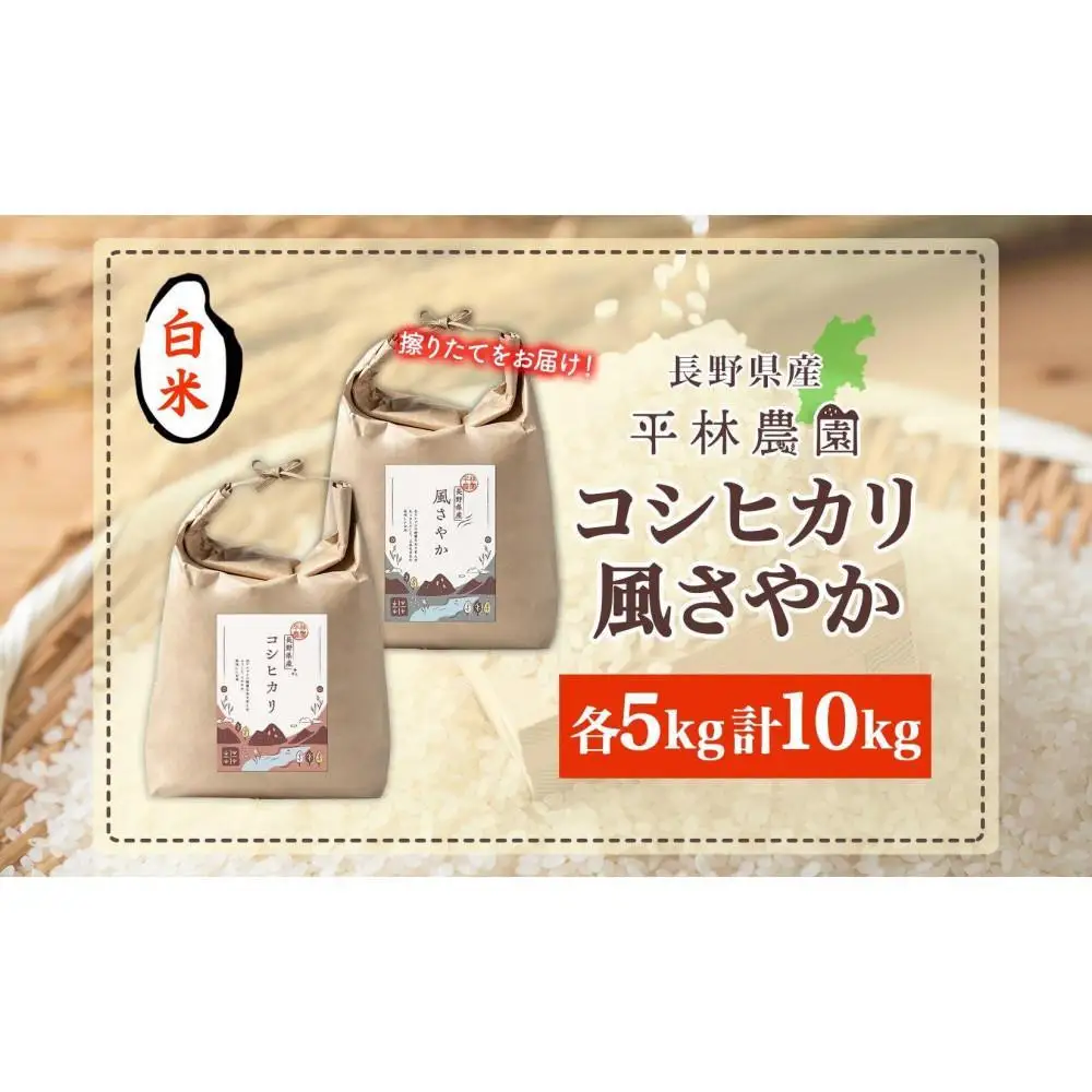 【2026年10月発送】令和8年産 コシヒカリ 風さやか 白米 各5kg 長野県産 米 精米 お米 ごはん ライス 甘み 農家直送 産直 信州 人気 ギフト お取り寄せ 平林農園 送料無料 長野県 大町市