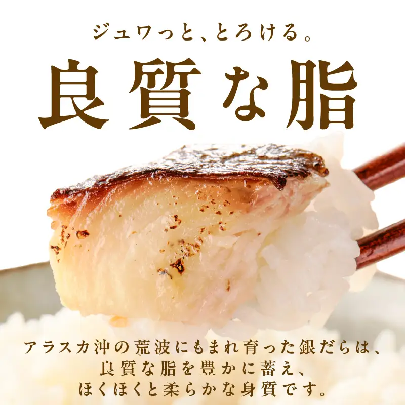 【定期便】銀鱈 西京漬け 120g×6切れ 全3回