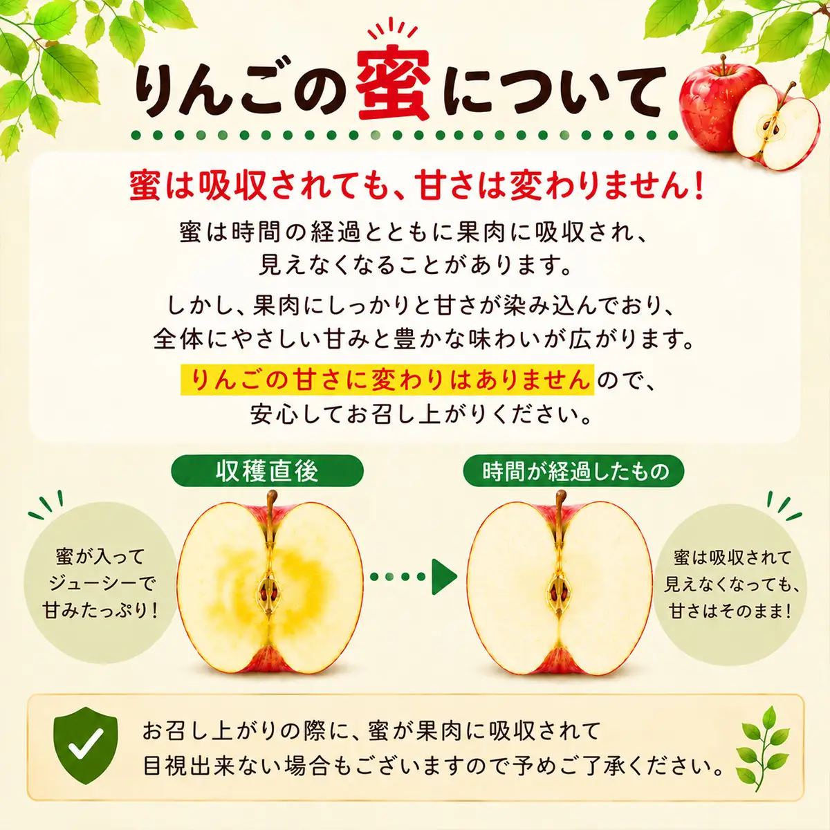 【2026年先行予約】長野市産 サンふじ 訳あり りんご 5kg｜信州りんごの名産地からお届け｜家庭用・不揃い・傷ありでも甘さ抜群｜信州りんごの本場からお届け｜家庭用・規格外｜【2026年12月から発送予定】