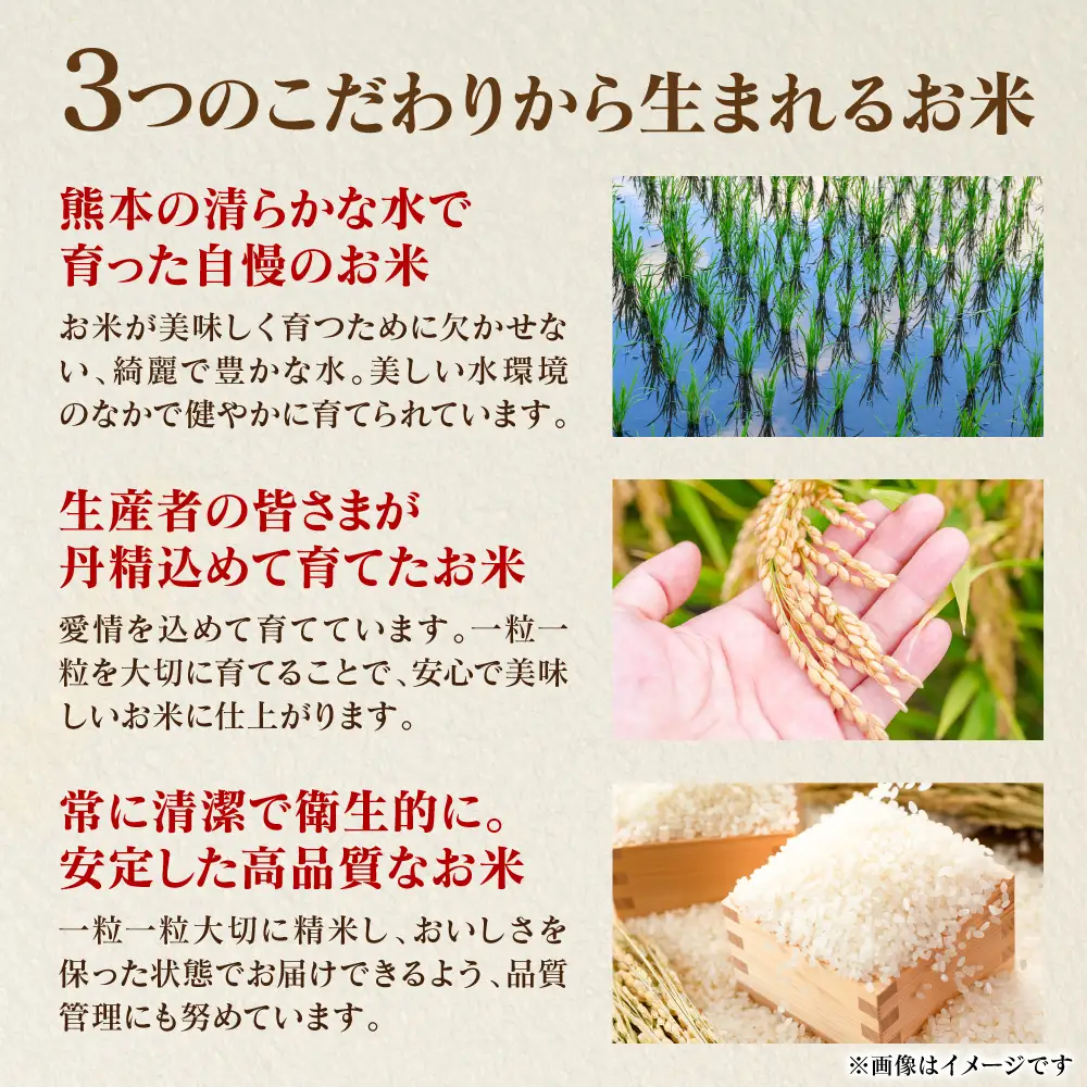 精米 《令和7年産》 くまさんの輝き 5kg×1袋  精米